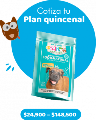 plan quincenal web barf-062-06